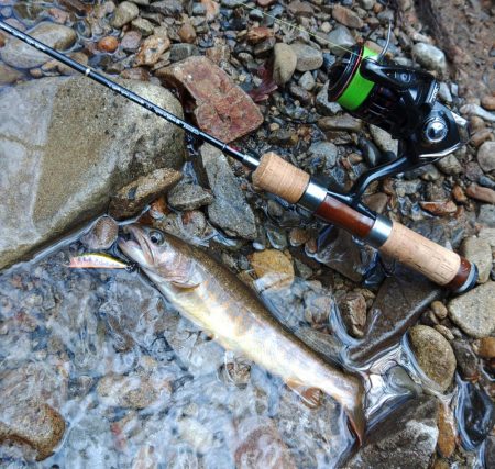 渓流ルアーシーズン開幕 ～長良川水系～